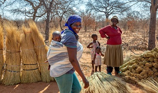 Women and children gathering the harvest