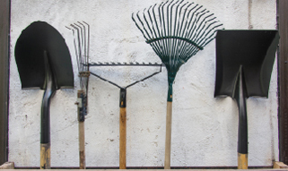 A collection of gardening tools